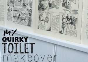 My Quirky Toilet Makeover